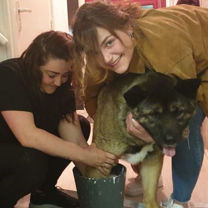 Bodycasting Lifecasting 3d Handbeeld Tastbare herinnering Liefde Geluk Afscheid Verdriet Rouw Bodycasting ByFem Friesland Groningen Drenthe dierenpoot hondenpoot maatje