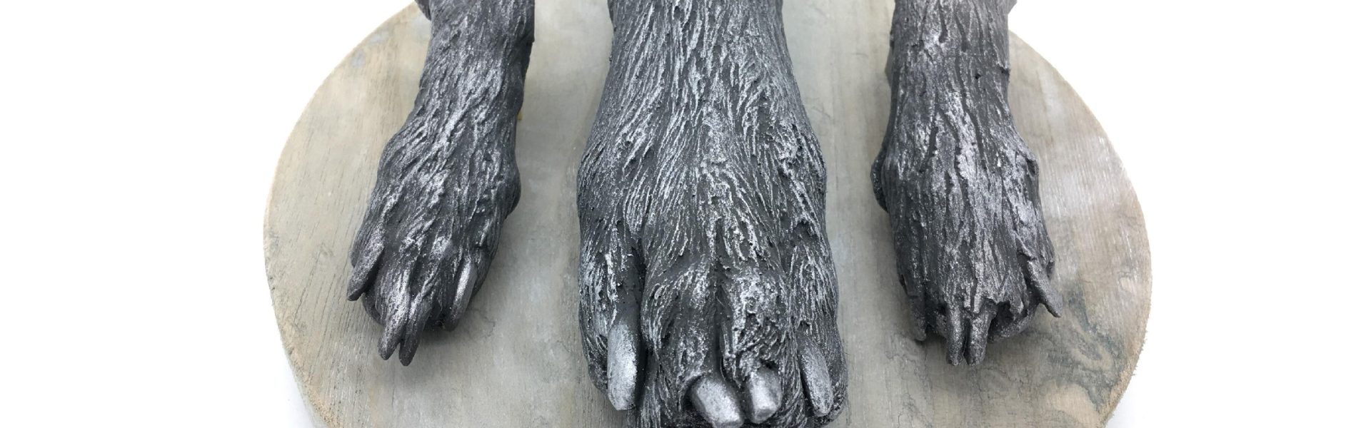 Bodycasting ByFem Friesland 3d beeld gips hond poot maatjes Groningen Drenthe Overijssel Flevoland