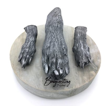 Bodycasting ByFem Friesland 3d beeld gips hond poot maatjes Groningen Drenthe Overijssel Flevoland