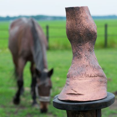 Bodycasting Lifecasting Friesland 3d beeld paard been hoef maatjes tastbare herinnering liefde love