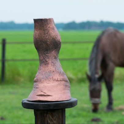 Bodycasting Lifecasting Friesland 3d beeld paard been hoef maatjes tastbare herinnering love liefde