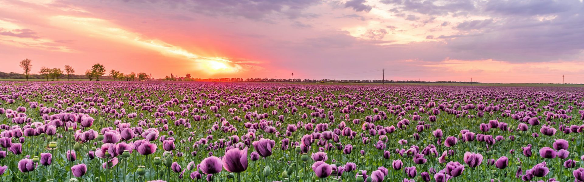 Bodycasting Friesland ByFem handbeeld afscheid liefde love 3d tastbare herinnering voor altijd in het hart